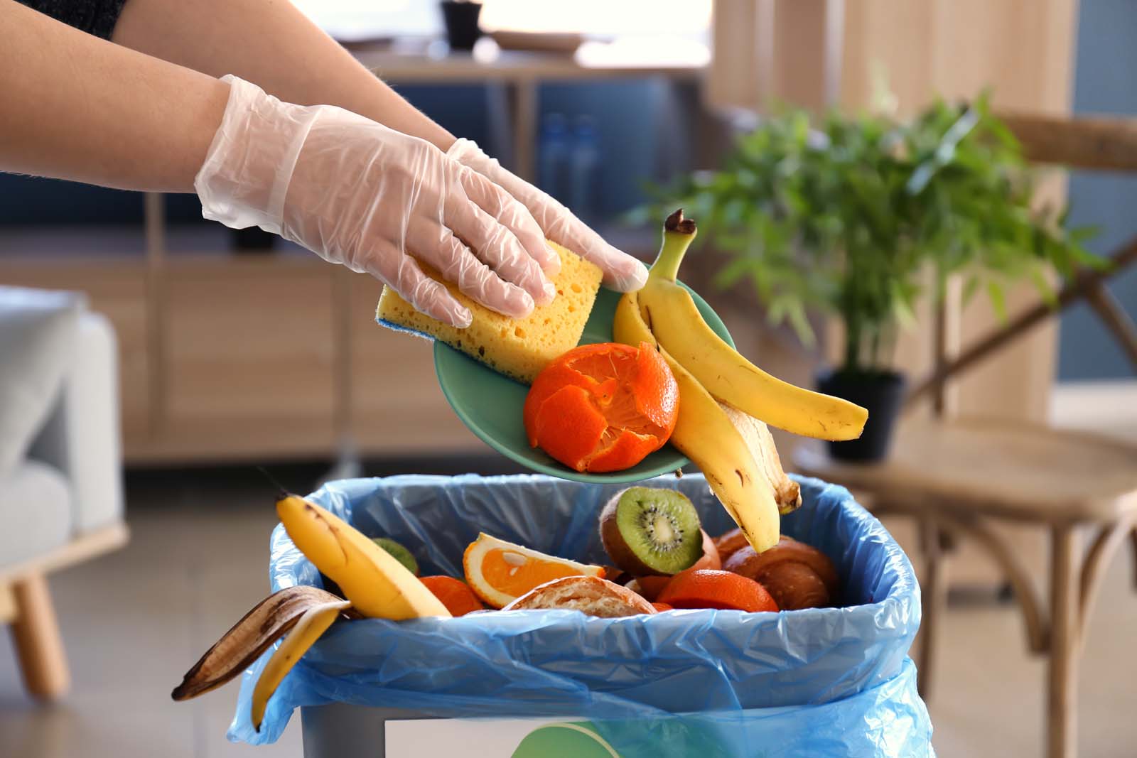 Odpad z domácností a potravin