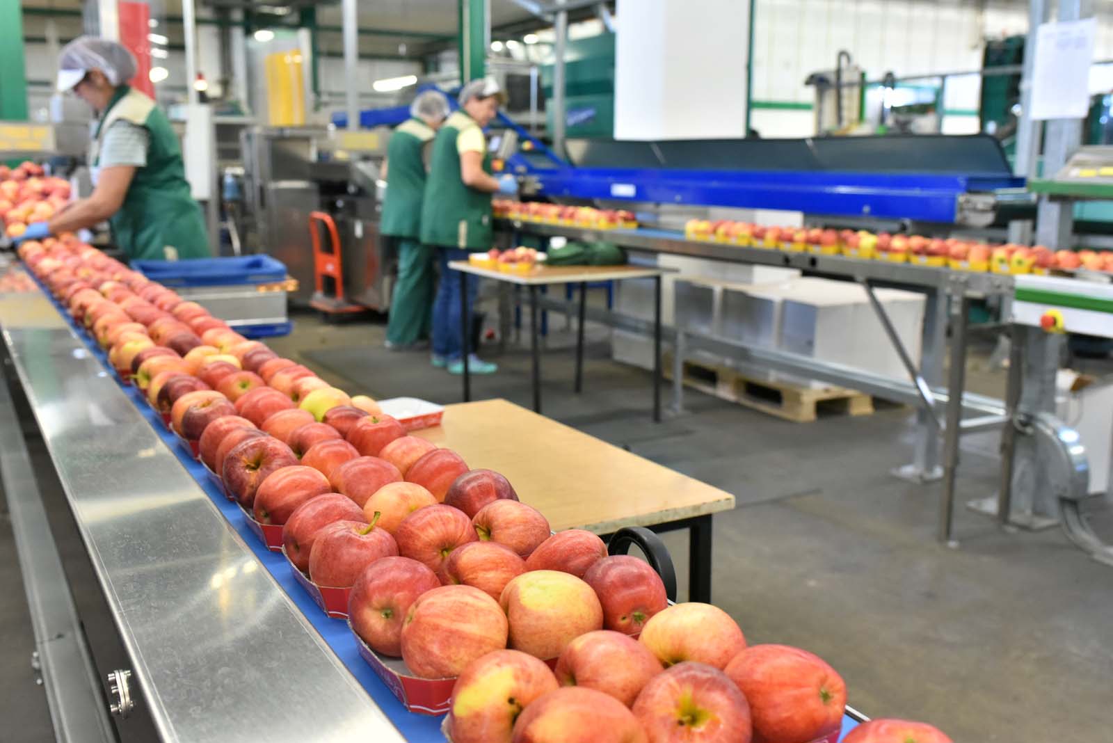 Déchets industriels et agroalimentaire