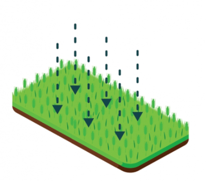 Les végétaux captent du CO2